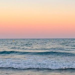 Meet your Posher, Dalia